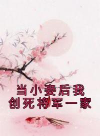 当小妾后我创死将军一家江淮之沈竹心目录_当小妾后我创死将军一家小说阅读