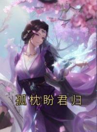 《孤枕盼君归》免费试读 李慕卿陈思君小说在线阅读