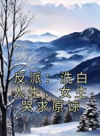 《反派：洗白人生，女主哭求原谅》大结局免费阅读 《反派：洗白人生，女主哭求原谅》最新章节目录