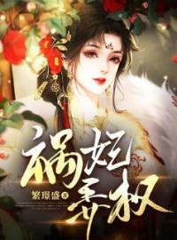 沁儿宁妃小说《祸妃弄权》全文及大结局精彩试读