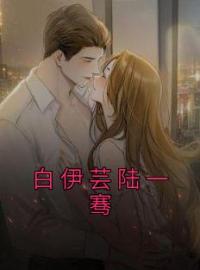 白伊芸陆一骞(白伊芸陆一骞)全文完结在线阅读完整版