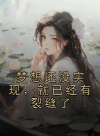 梦想还没实现，就已经有裂缝了沈云黎陆飞小说在线阅读 梦想还没实现，就已经有裂缝了最新章节