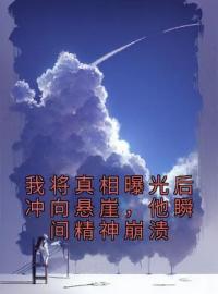 我将真相曝光后冲向悬崖，他瞬间精神崩溃完整版全文阅读 阮乔陆哲淮小说 大结局