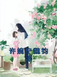 小说《许婉宁魏钧泽》许婉宁魏钧泽全文免费试读