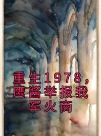 《重生1978，鹰酱举报我军火商》大结局免费阅读 《重生1978，鹰酱举报我军火商》最新章节目录