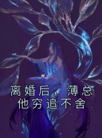 离婚后，薄总他穷追不舍全文免费试读(秦枝薄昀泽) 完结版