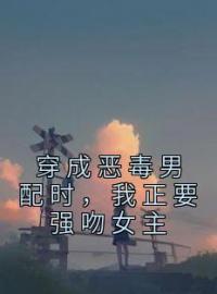 《穿成恶毒男配时，我正要强吻女主》苏弘许心妍小说在线阅读