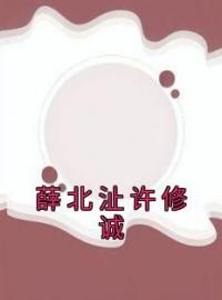 《薛北沚许修诚》完结版精彩阅读 薛北沚许修诚小说在线阅读