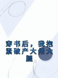 穿书后，我抱紧破产大佬大腿免费试读(许艺宋晏明小说全本资源) 无广告