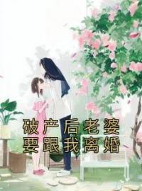 破产后老婆要跟我离婚孙露陈明目录_破产后老婆要跟我离婚小说阅读