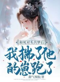 和死对头共梦后，我揣了他的崽跑了(沈献音赫连丞)全文完结在线阅读完整版