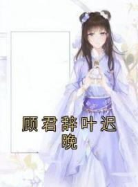 《顾君辞叶迟晚》免费试读 叶迟晚顾君辞小说在线阅读