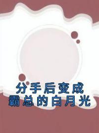 分手后变成霸总的白月光全文免费试读(夏瑜江以迟) 完结版