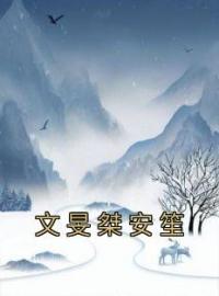 文旻桀安笙全文免费试读(安笙文旻桀) 完结版