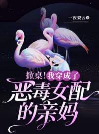 《掀桌！我穿成了恶毒女配的亲妈》完结版精彩阅读 林舒舒苏简行白幼薇小说在线阅读