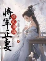 小说《将军正妻难觅圆满》慕容渊苍瑾全文免费试读