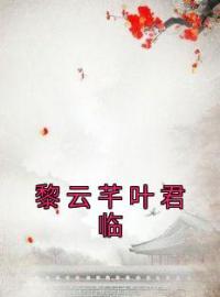 黎云芊叶君临完整全文阅读 黎云芊叶君临小说结局无删节