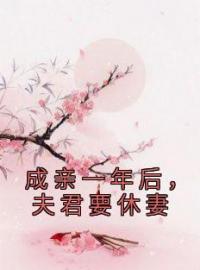 成亲一年后，夫君要休妻免费试读(姜玥玥陶闻璟小说全本资源) 无广告