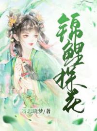 沈红鲤陈放小说阅读_沈红鲤陈放小说《锦鲤探花》