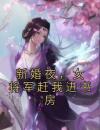 新婚夜，女将军赶我进书房