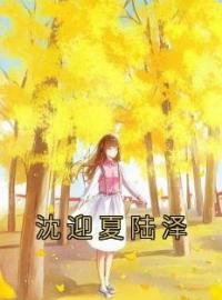 沈迎夏陆泽全章节免费试读 主角沈迎夏陆泽完结版