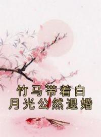 竹马带着白月光公然退婚免费试读(安婵谢兴言小说全本资源) 无广告