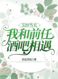 《520当天，我和前任酒吧相遇》免费试读 唐若雨秦敬小说在线阅读