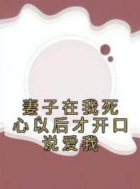 主角叫江黎许稚韩胜宇的小说是什么 妻子在我死心以后才开口说爱我全文免费阅读