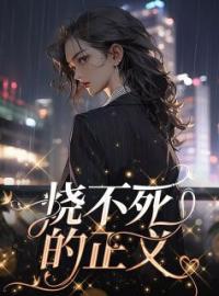 烧不死的正义全章节免费在线阅读 郝晓文郝晓明小说完结版