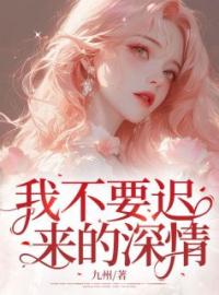 我不要迟来的深情(李沐芷李城安)全文完结在线阅读完整版