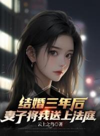 结婚三年后，妻子将我告上法庭陆凡苏月灵小说在线阅读 结婚三年后，妻子将我告上法庭最新章节