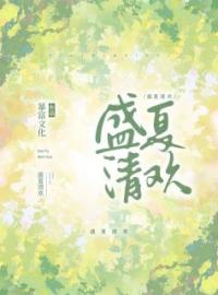 《盛夏清欢》沈清欢林声扬小说在线阅读