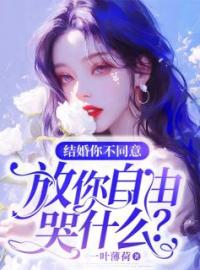 赵依然段嘉臣小说《结婚你不同意，放你自由哭什么？》全文及大结局精彩试读