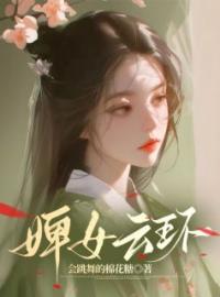 婢女云环全章节免费试读 主角云环云盏完结版