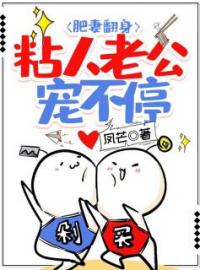 重生八零:胖妻被忠犬老公宠坏了(苏静雅陆禹)全文完结在线阅读完整版