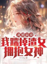 离婚前夜，我踹掉渣女拥抱女神完整全文阅读 陆扬徐心瑶小说结局无删节