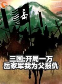 三国：开局一万岳家军我为父报仇褚云文聘小说阅读_三国：开局一万岳家军我为父报仇文本在线阅读