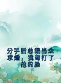 分手后总裁当众求婚，我却打了他的脸沈听雨许柯傅铭生全文精彩内容免费阅读