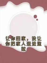 让你回家，没让你把家人送进监狱(江沁江泽李念琴宋鸣)全文完结在线阅读完整版