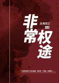 陈大平曾家辉小说阅读_陈大平曾家辉小说《扶摇之路：从小县城开始》