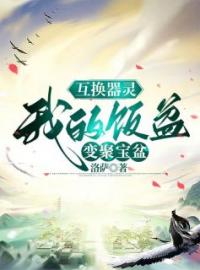 互换器灵，我的饭盆变聚宝盆全文免费试读(琉璃龙吟云渺) 完结版