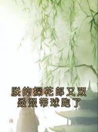 萧策陆则安小说叫什么_朕的探花郎又双叒叕带球跑了小说