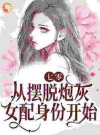 七零：从摆脱炮灰女配身份开始全章节免费试读 主角温暖顾长风完结版