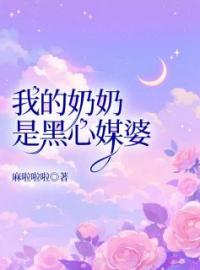 李婷老吴小说叫什么_我的奶奶是黑心媒婆小说