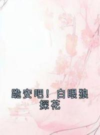 《跪安吧！白眼狼探花》免费试读 祁雁安吕学文林青青小说在线阅读