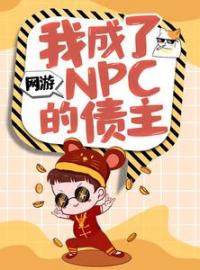 好书推荐《网游：我成了NPC的债主》叶欢梦小蝶全文在线阅读