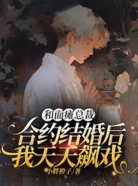 《和面瘫总裁合约结婚后，我天天飙戏》夏天夜寒全文免费阅读