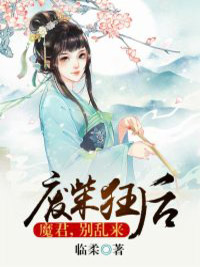 《废柴狂后：魔君，别乱来》月无痕赫连皓全文免费阅读