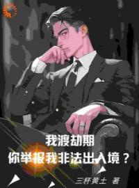 我渡劫期，你举报我非法出入境？全本资源 张凡孙莹莹完整未删减版