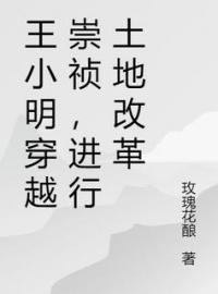 《王小明穿越崇祯，进行土地改革》免费试读 王小明崇祯帝小说在线阅读